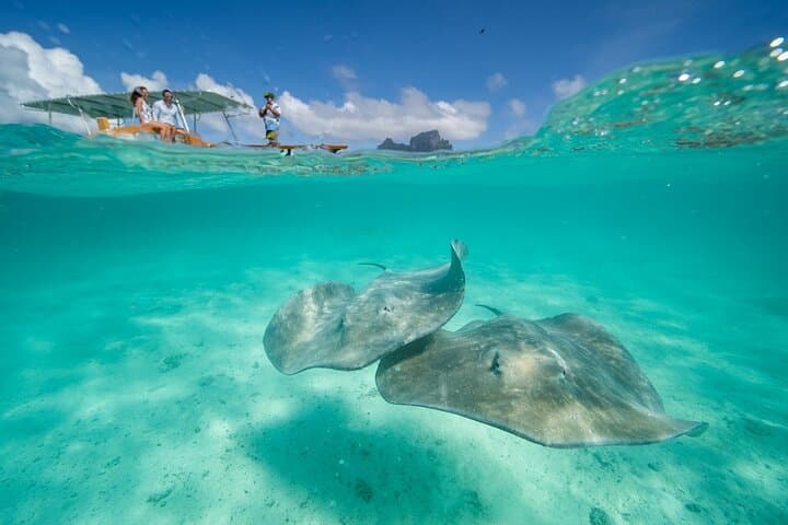 Bora Bora Full-Day Lagoon Adventure: Snorkel, Motu Lunch & Jet Ski photo 2