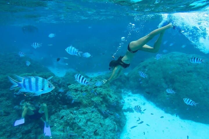 Bora Bora Full-Day Lagoon Adventure: Snorkel, Motu Lunch & Jet Ski photo 3