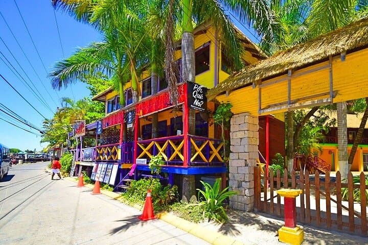 Private Minivan with Local Guide in Roatán — Custom 3–4 Hour Island Tour from Cruise Port photo 2
