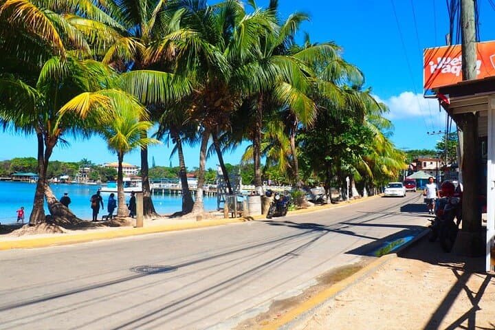 Private Minivan with Local Guide in Roatán — Custom 3–4 Hour Island Tour from Cruise Port photo 5