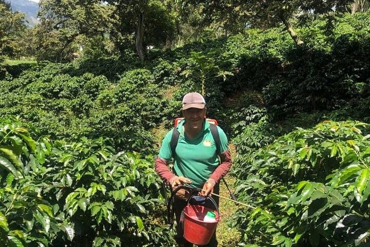 Medellín Coffee Express & Exotic Fruit Market Tour — Coffee Farm Visit and La Minorista photo 4