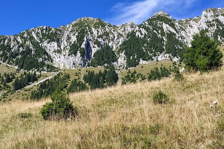Summit La Om: Hike Piatra Craiului's Highest Peak (2238 m) from Brasov photo 4