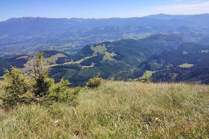 Summit La Om: Hike Piatra Craiului's Highest Peak (2238 m) from Brasov photo 5