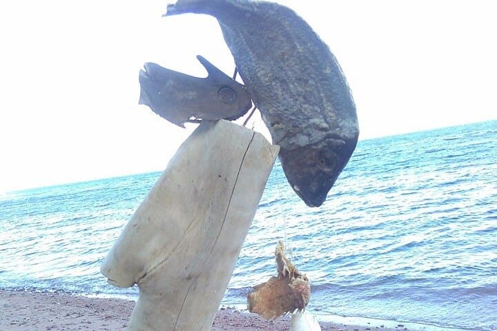 Dahab Day Trip from Sharm El Sheikh — Snorkel the Red Sea & Ride a Camel photo 2