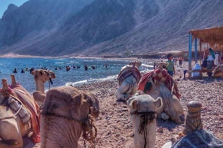 Dahab Day Trip from Sharm El Sheikh — Snorkel the Red Sea & Ride a Camel photo 6
