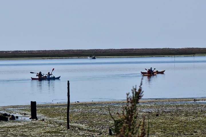 Kayak Rental at Praia dos Cavacos — Paddle Ria Formosa to Armona Island photo 3