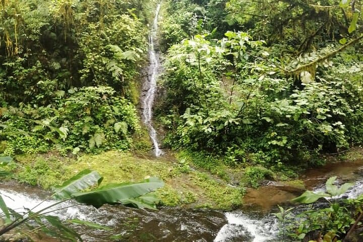 San Luis Canopy Zipline: 12-Line Cloud Forest Adventure Near Carara photo 5