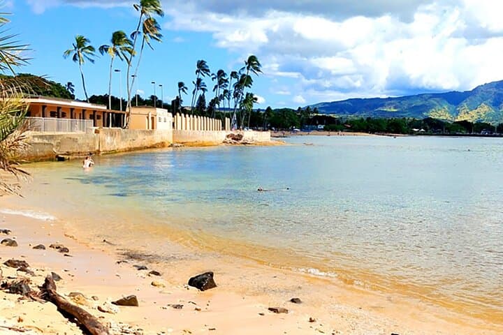Oahu Circle Island Tour: Full-Day Drive with Turtle Snorkeling, North Shore Eats & Iconic Lookouts photo 4