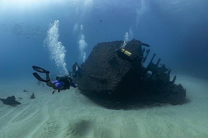 Cabo San Lucas Scuba Diving: Pelican Rock, Corridor & La Paz Marine Parks photo 2