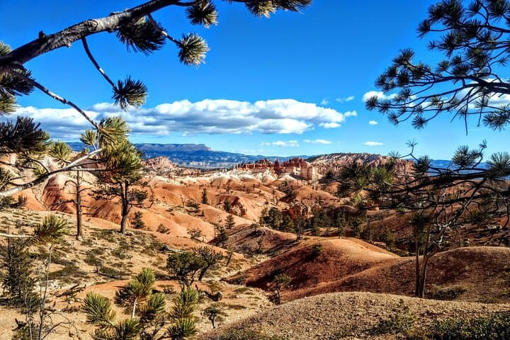 Three-Hour Scenic Tour of Bryce Canyon — Hoodoos, History & Park Hacks