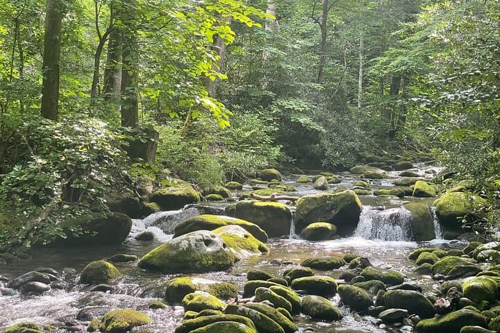 Roaring Fork Jeep Tour — Smoky Mountains Guided Sightseeing from Pigeon Forge