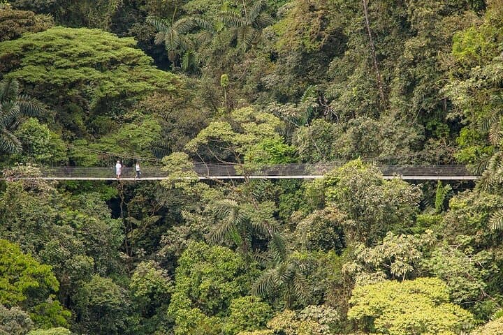 La Fortuna Full Day: Arenal Volcano, La Fortuna Waterfall & Hanging Bridges photo 6
