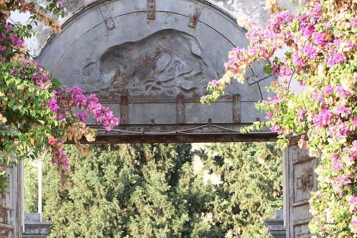 Baglio Florio Adamo Wine Tour: Organic Tastes & Historic Cellars Near Marsala