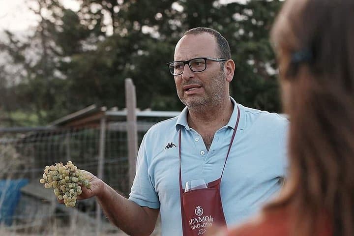 Baglio Florio Adamo Wine Tour: Organic Tastes & Historic Cellars Near Marsala photo 2