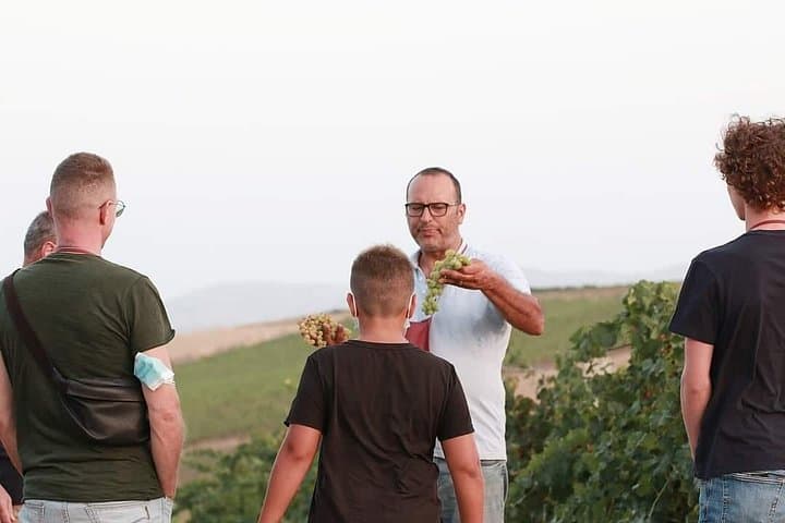 Baglio Florio Adamo Wine Tour: Organic Tastes & Historic Cellars Near Marsala photo 4