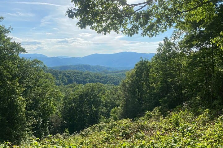 Roaring Fork Jeep Tour — Smoky Mountains Guided Sightseeing from Pigeon Forge photo 6