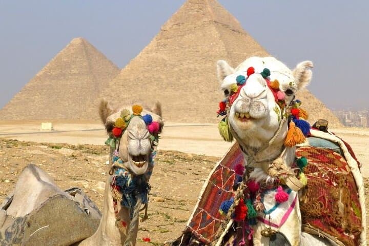Luxury Camel Ride Around the Giza Pyramids — Panoramic Private Tour from Cairo photo 5