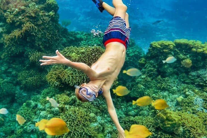 Cozumel Catamaran Snorkel & El Cielo Beach Club — Half-Day Catamaran Cruise photo 3