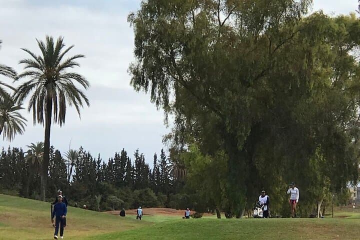 Private Golf Lesson and Transfer in Marrakech: Expert Coaching with Clubs Included photo 3