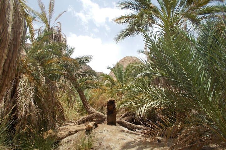 Black & White Desert and Bahariya Oasis: 2-Day White Desert Camping Tour from Cairo photo 5