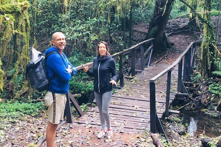Kilimanjaro Day Hike: Mandara Hut & Maundi Crater Sneak Peek from Moshi photo 2