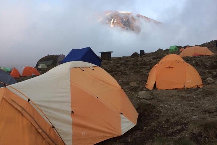 6-Day Rongai Route Kilimanjaro Trek: Remote North-Side Ascent to Uhuru Peak photo 4