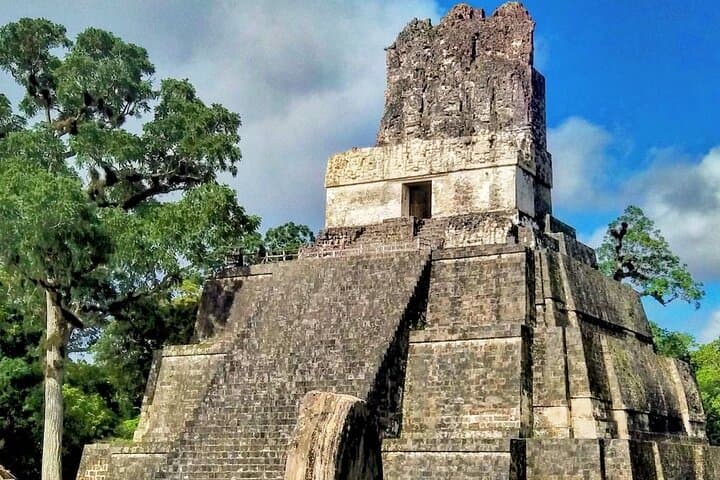 Exploring Tikal: Full-Day Private Tour from Flores to the Ancient Mayan City photo 4