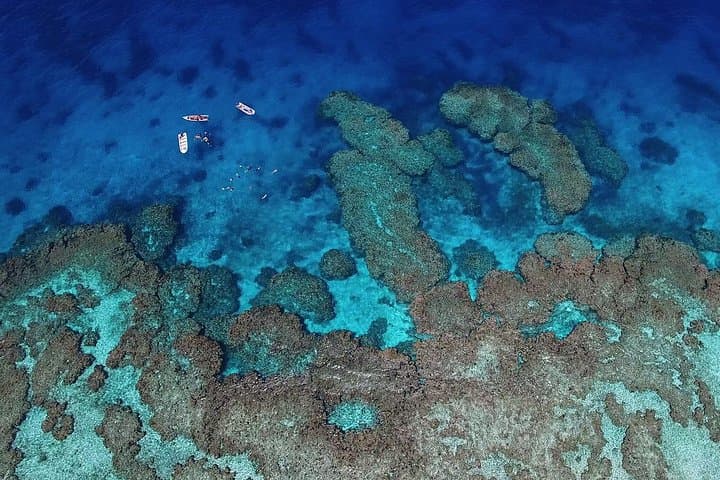 Snorkel With Reef Sharks & Overnight at Barefoot Kuata — 2-Day Yasawa Islands Escape photo 4
