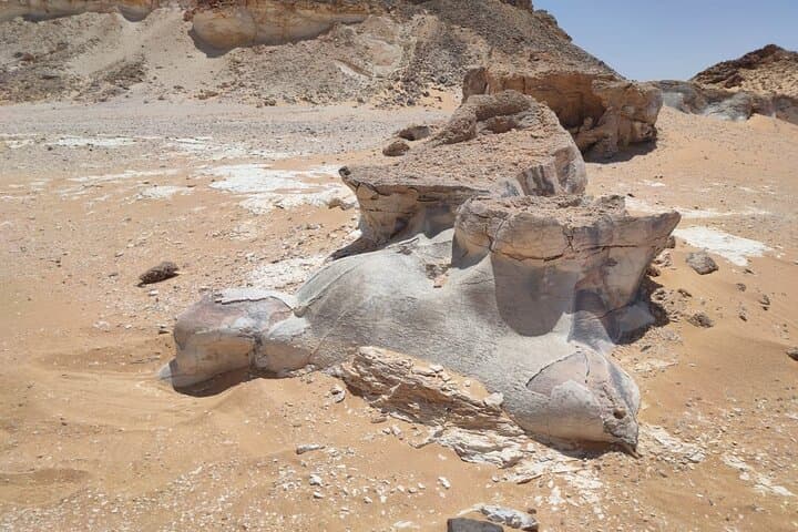 Day Trip to Bahariya Oasis: Explore Egypt’s Black and White Deserts from Cairo photo 5