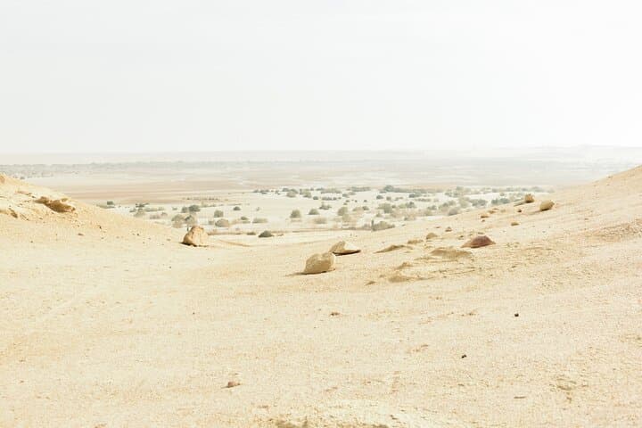 Fayoum Full-Day Birdwatching at Wadi El Rayan and Lake Qarun photo 5