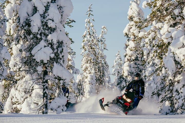 Snowmobile & Reindeer Safari: Cross the Arctic Circle from Rovaniemi photo 3