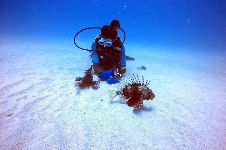 Introductory Scuba in Mauritius: Try Your First Bubbles on a Resort Course photo 5