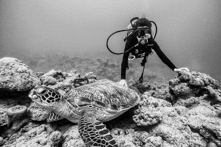 Introductory Scuba in Mauritius: Try Your First Bubbles on a Resort Course photo 6
