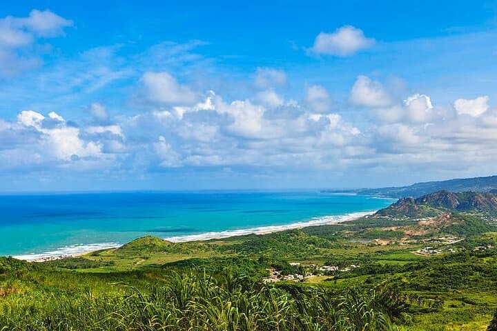 Full-Day Barbados Natural Heritage Tour: Caves, Windmills & Wildlife