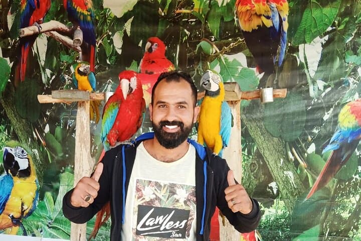 Private Safari Tour to Africano Park from Cairo — Alexandria Day Safari