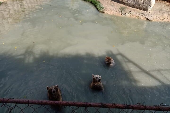 Private Safari Tour to Africano Park from Cairo — Alexandria Day Safari photo 3