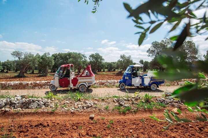Ostuni Tuk Tuk Tour: Millenary Olive Groves & Olive Oil Tasting