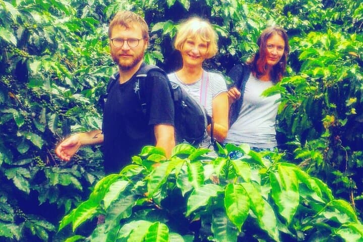 Half-Day Coffee Plantation Tour from Medellín — Copacabana Coffee Express photo 3
