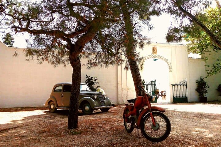 Ostuni Tuk Tuk Tour: Millenary Olive Groves & Olive Oil Tasting photo 2