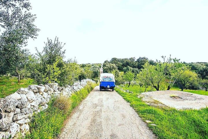 Ostuni Tuk Tuk Tour: Millenary Olive Groves & Olive Oil Tasting photo 3