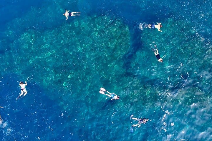 South Kona Small-Group Snorkel Expedition: Kealakekua, Puʻuhonua & Private Black Sand Beach photo 3