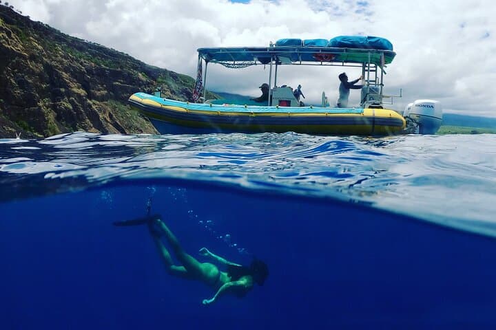 South Kona Small-Group Snorkel Expedition: Kealakekua, Puʻuhonua & Private Black Sand Beach photo 6