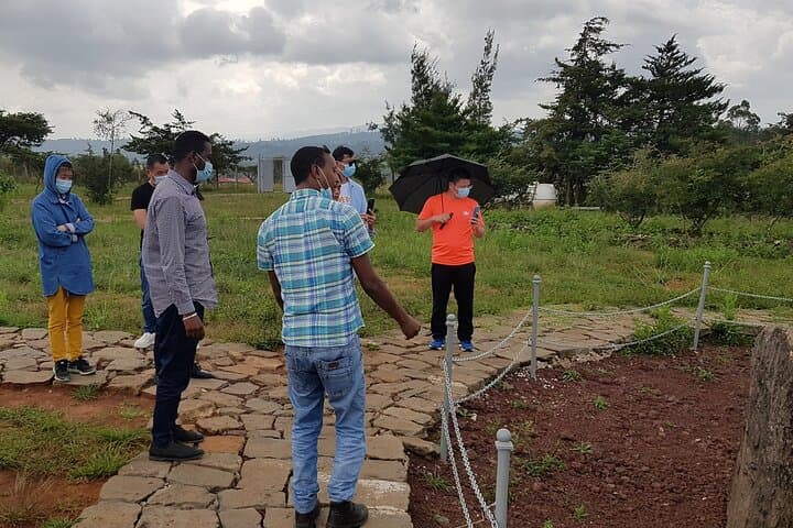 Day Trip to Adadi Mariam & Tiya: Rock Church, UNESCO Steles and Rift Views from Addis Ababa photo 2