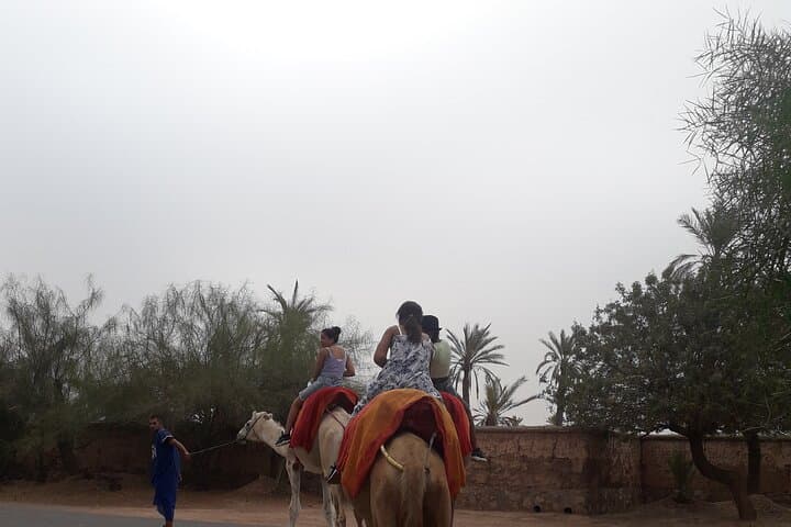 Private Sunset Camel Ride in Marrakech's Palmeraie photo 5