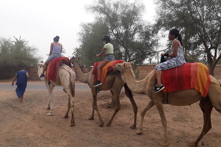 Private Sunset Camel Ride in Marrakech's Palmeraie photo 6