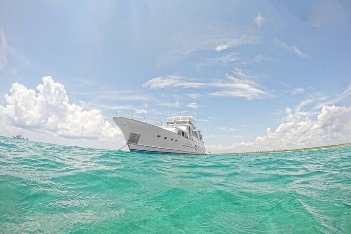 Sunset Private Yacht Charter on Pura Vida — 2-Hour Riviera Maya Cruise photo 6