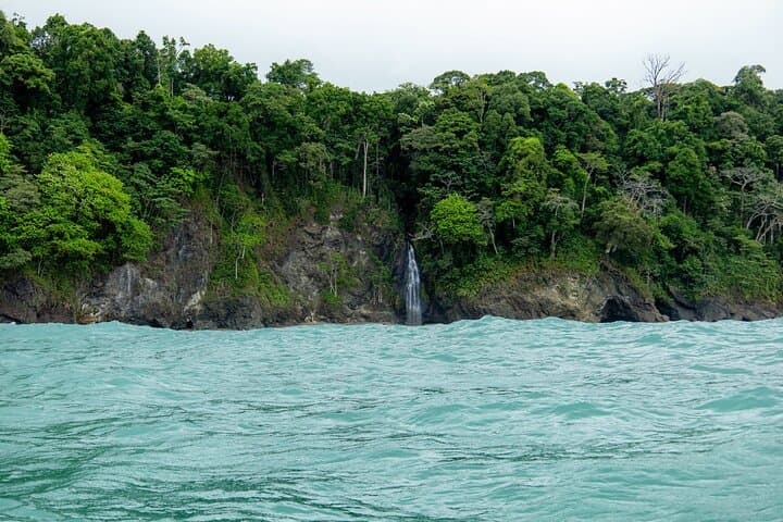 Sirena Station Corcovado One-Day Wildlife Hike from Quepos photo 2