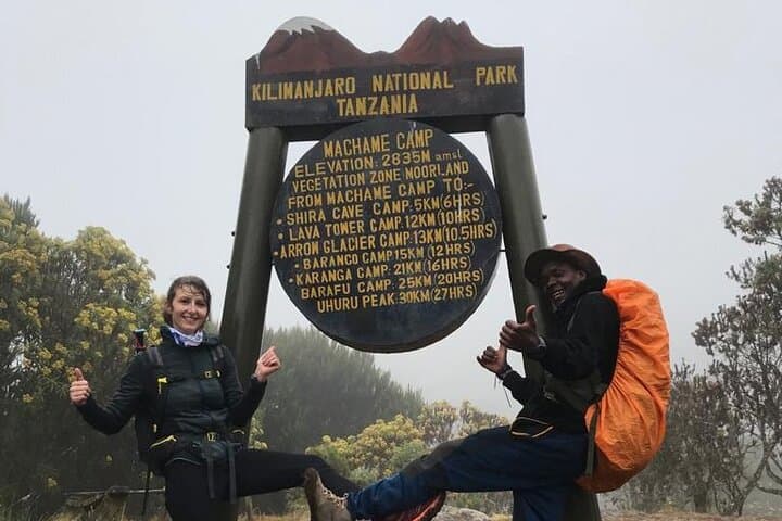 1-Day Kilimanjaro Hike on the Machame Route: Rainforest to Shira Plateau