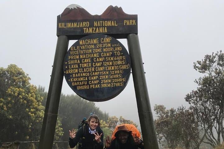 1-Day Kilimanjaro Hike on the Machame Route: Rainforest to Shira Plateau photo 5