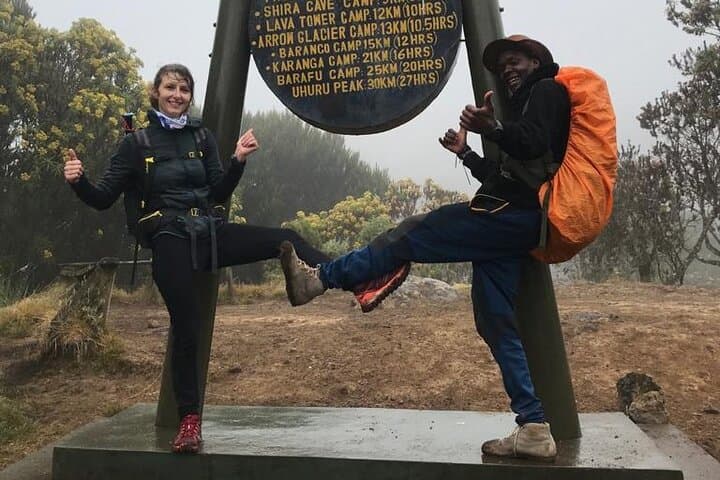 1-Day Kilimanjaro Hike on the Machame Route: Rainforest to Shira Plateau photo 2